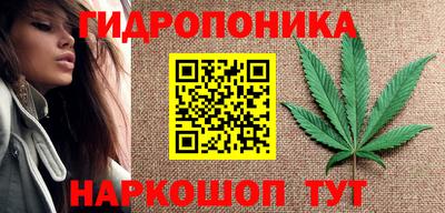мдпв Рузаевка