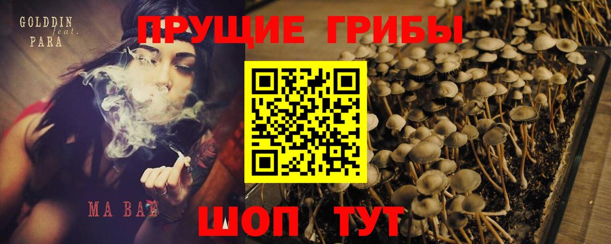 Альфа ПВП Северск